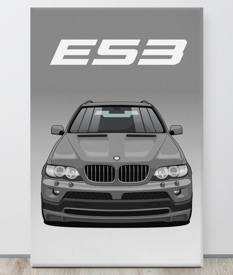 BMW E53